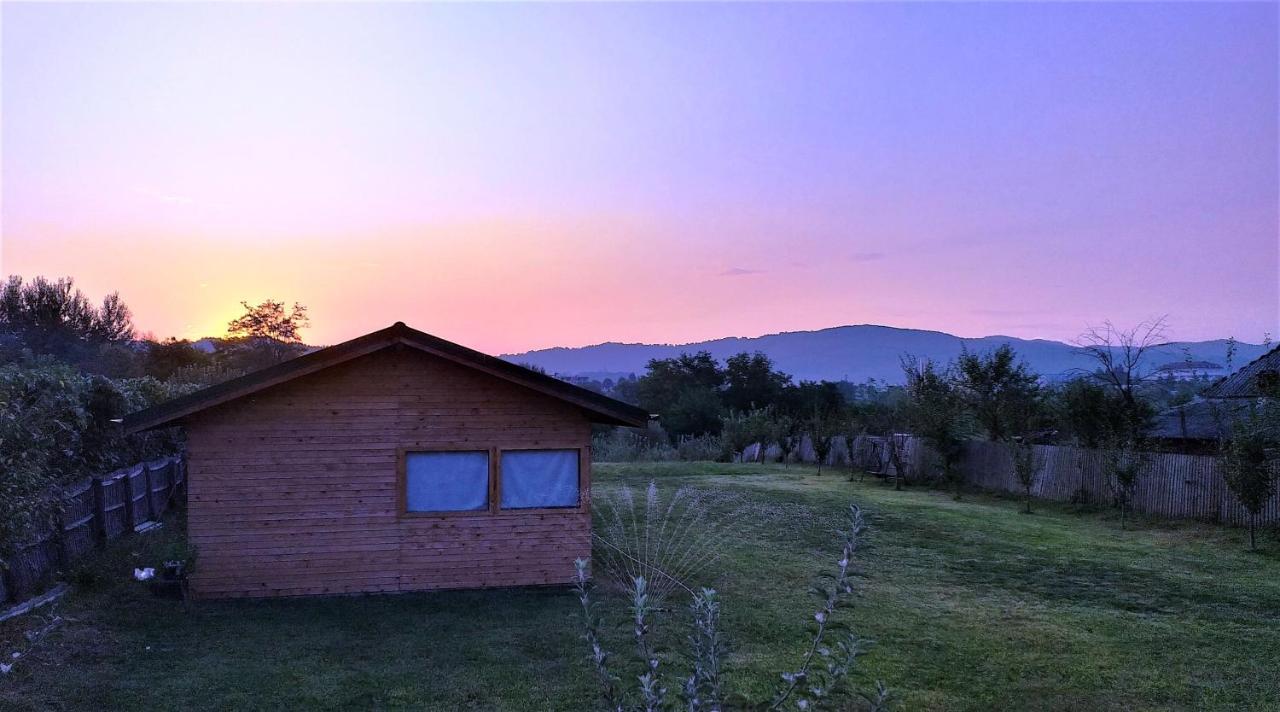Вилла La Livada Valea Danului Экстерьер фото