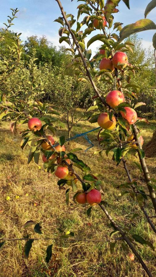 Вилла La Livada Valea Danului Экстерьер фото
