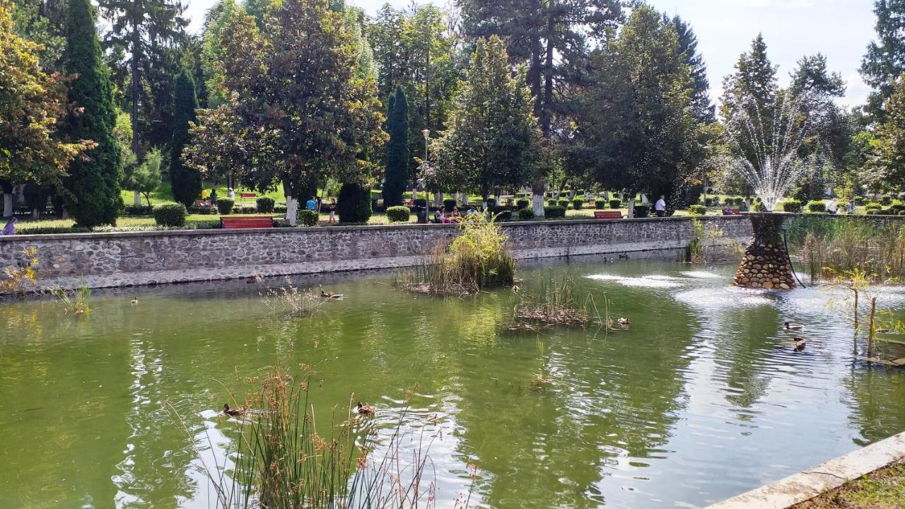 Вилла La Livada Valea Danului Экстерьер фото